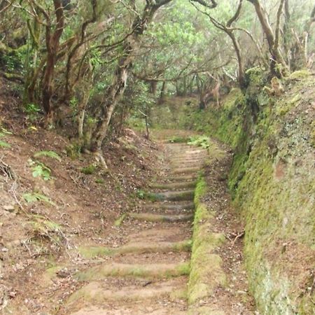 Casa Del Cu Bano B- Biosphere Reserve سانتا كروز دي تينيريف المظهر الخارجي الصورة