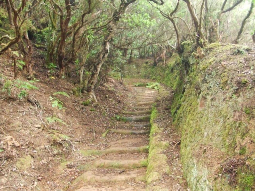 Casa Del Cu Bano B- Biosphere Reserve سانتا كروز دي تينيريف المظهر الخارجي الصورة